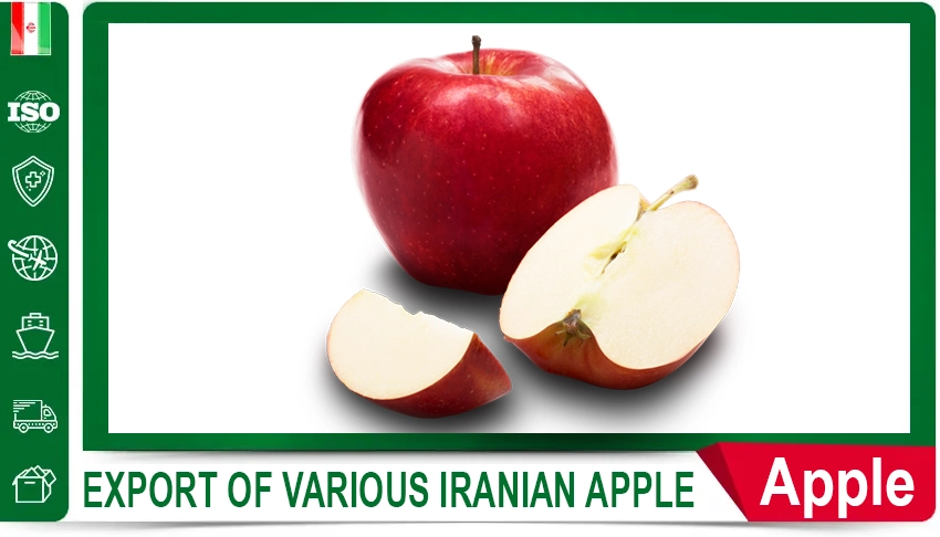 Iranian oranges, Iranian orange supplier, export Iranian oranges, buy Iranian oranges, price of Iranian oranges