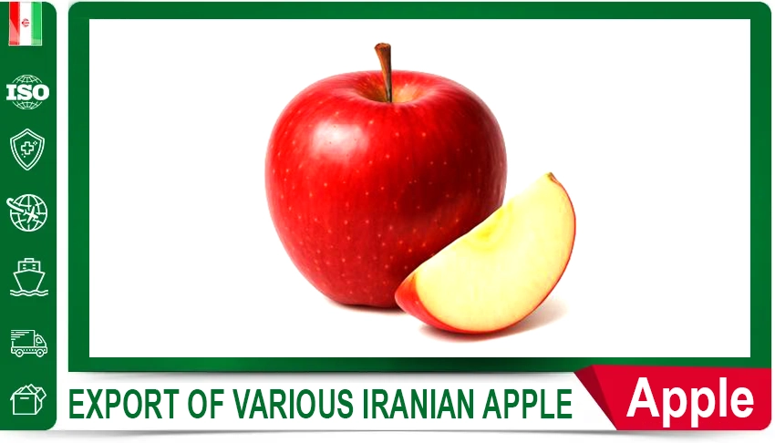 Iranian Export Melons Fruit Export Fresh Produce Long-Distance Shipping