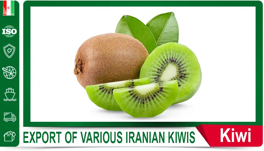 Iranian dried garlic,
Iranian dried garlic export,
Iranian dried garlic supplier,
buy dried garlic Iran,
price of dried garlic Iran