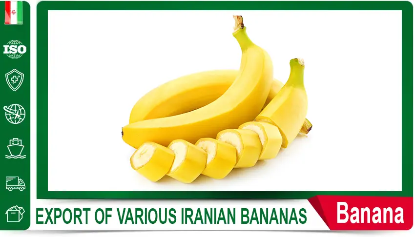 Iranian watermelon,
Iranian watermelon export,
Iranian watermelon prices,
export watermelon from Iran,
buy Iranian watermelon