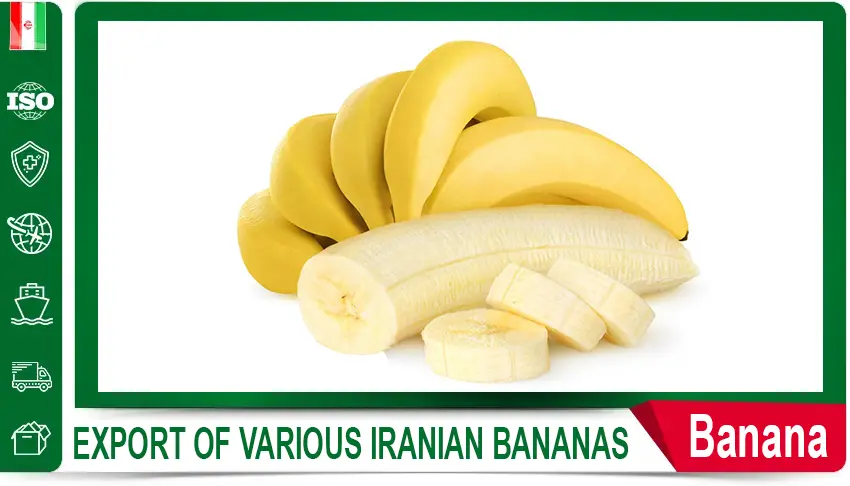 Iranian lettuce,
export Iranian lettuce,
Iranian lettuce supplier,
Iranian lettuce for export,
price of Iranian lettuce,