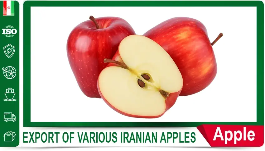 Iranian parsley, Iranian parsley supplier, export Iranian parsley, buy Iranian parsley, price of Iranian parsley