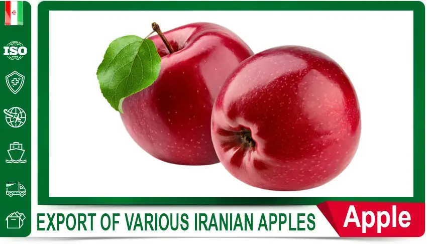 Iranian dill,
Iranian dill supplier,
export Iranian dill,
price of Iranian dill,
buy Iranian dill