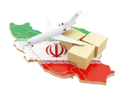 Gilafruit gila fruit export Fruits and Vegetables export kiwi sell kiwi