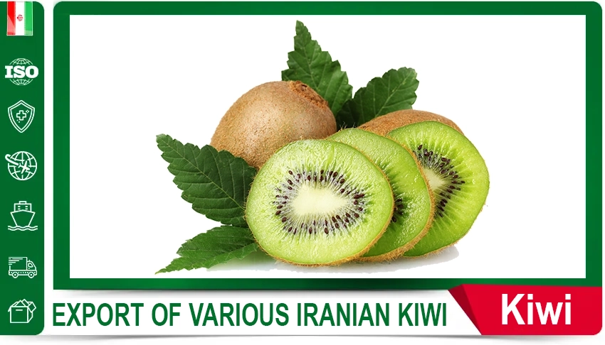 Iranian oranges, Iranian orange supplier, export Iranian oranges, buy Iranian oranges, price of Iranian oranges