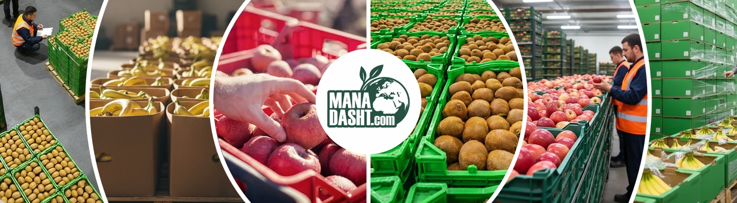 تماس با ما شرایط صادرات همکاری های تجاری صادرات محصول