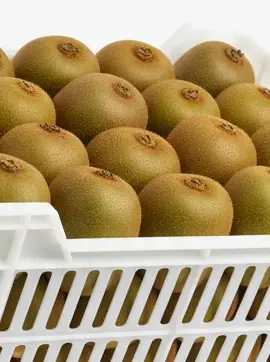 Meva qadoqlash, meva eksporti, Eksport, Svieklik