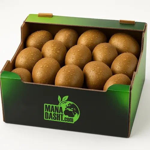 خواص شگفت‌انگیز کیوی؛ میوه‌ای کوچک با ارزش غذایی بزرگ