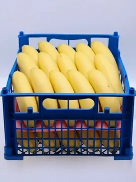 Meva qadoqlash, meva eksporti, Eksport, Svieklik