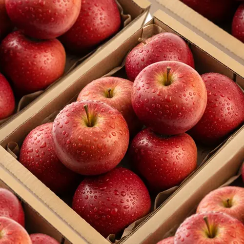 سیب یکی از پرمصرف‌ترین و محبوب‌ترین میوه‌ها در سراسر جهان است 